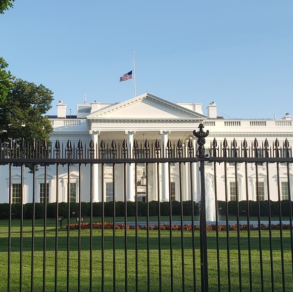 Meet your Posher, Timothy - Picture 1 of 1